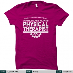 Physical Therapist